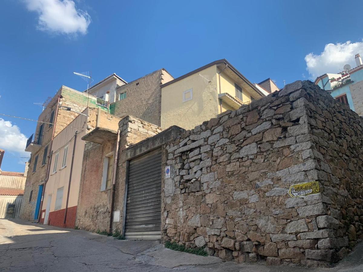 Orgosolo B&B Sardegna Exterior foto